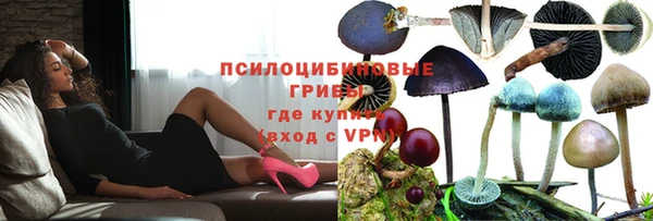 a pvp Медвежьегорск