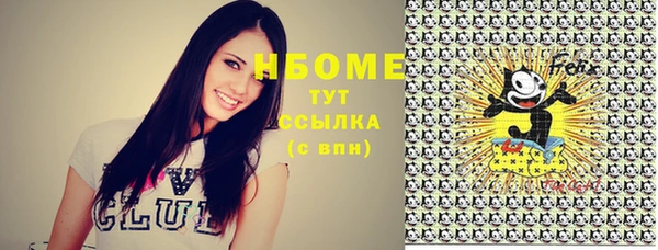 сатива Медногорск