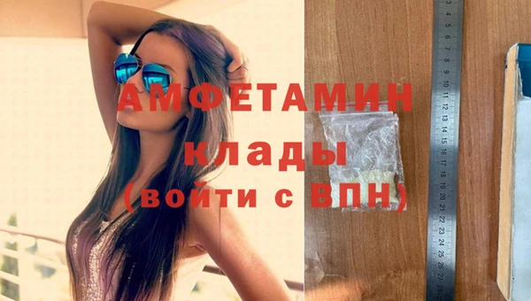 индика Магас