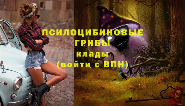 сатива Медногорск
