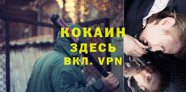 сатива Медногорск