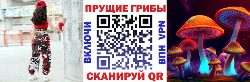 цена   Троицк  Псилоцибиновые грибы прущие грибы 